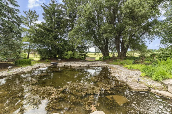 The Grounds & Gardens — Anhad Farms, photo 30