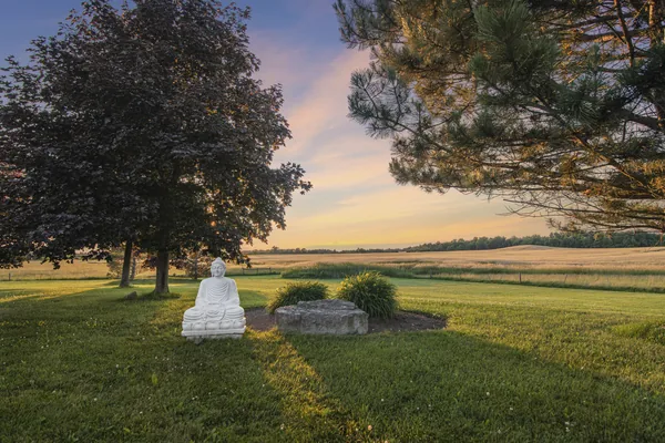 Golden Hour — Anhad Farms, photo 1
