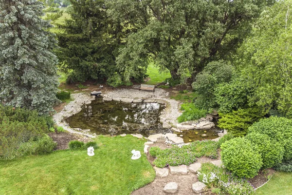 A quiet corner of the koi pond, close up